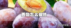 西梅怎么催熟