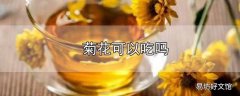 菊花可以吃吗