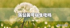 蒲公英可以生吃吗