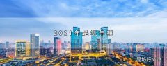 2021年是华年嘛