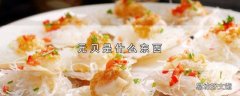 元贝是什么东西