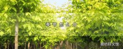 季节怎么分