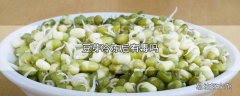 豆芽冷冻后有毒吗