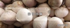 蒜怕冻嘛