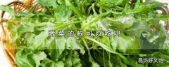 荠菜的根可以吃吗