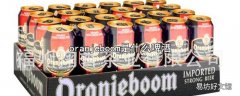 oranjeboom是什么啤酒