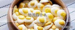 溶豆是什么