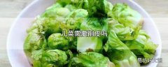 儿菜需要削皮吗