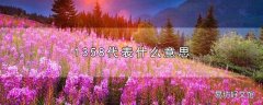 1358代表什么意思