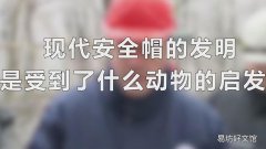 现代安全帽的发明是受到了什么动物的启发