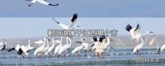 鄱阳湖属于江西哪个市