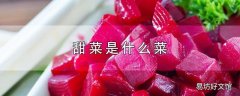 甜菜是什么菜