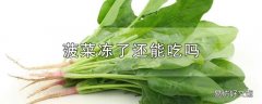 菠菜冻了还能吃吗