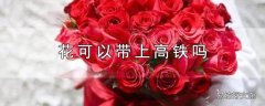 花可以带上高铁吗