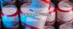 百威啤酒是哪个国家的