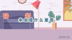 米虫是什么意思