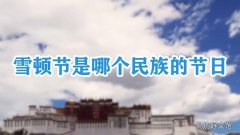 雪顿节是哪个民族的节日