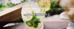 mojito寓意代表什么