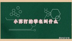 小苏打的学名叫什么