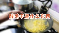 酸汤子是什么东西