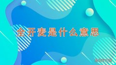 全开麦是什么意思