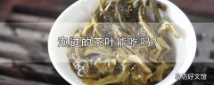 泡过的茶叶能吃吗?