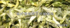 茶叶长白毛了还能喝吗