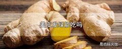 姜皮发绿能吃吗