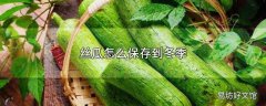 丝瓜怎么保存到冬季