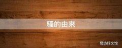 骚的由来
