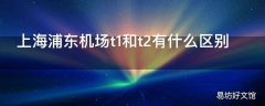 上海浦东机场t1和t2有什么区别