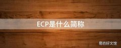 ECP是什么简称