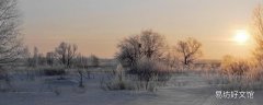 下雪天地面太滑怎么办