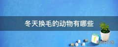 冬天换毛的动物有哪些