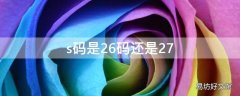 s码是26码还是27