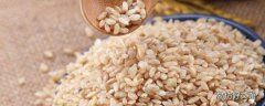 brown rice是什么米