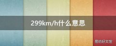 299km/h什么意思