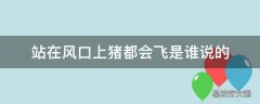 站在风口上猪都会飞是谁说的