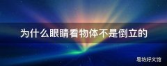 为什么眼睛看物体不是倒立的