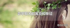 芸字取名的寓意和象征