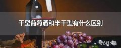 干型葡萄酒和半干型有什么区别