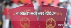 中国同性去哪里领结婚证