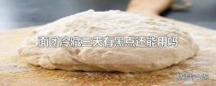 面团冷藏三天有黑点还能用吗