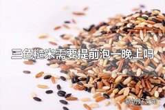 三色糙米需要提前泡一晚上吗 三色糙米需要提前泡一晚上