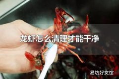 龙虾怎么清理才能干净 龙虾为什么要清洗干净食用