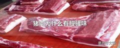 猪肉为什么有股骚味