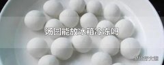 汤圆能放冰箱冷冻吗