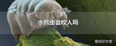 水熊虫会咬人吗