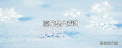 雪花是六瓣吗