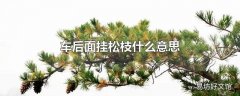 车后面挂松枝什么意思